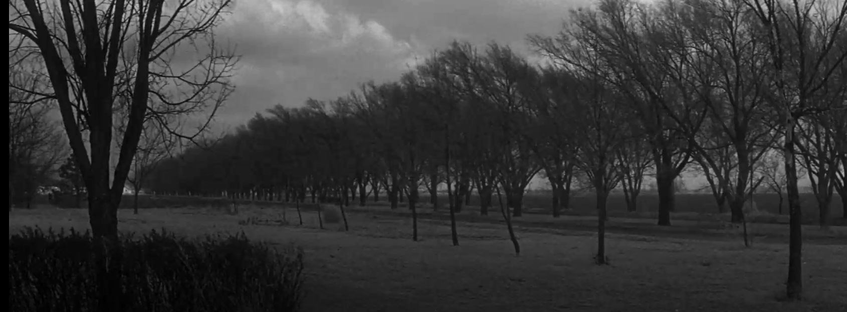 clutter-farm-lane-looking-se-pole-barely-visible-1967-film