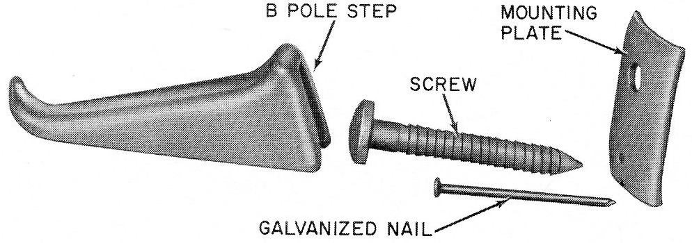 temp-pole-step-photo